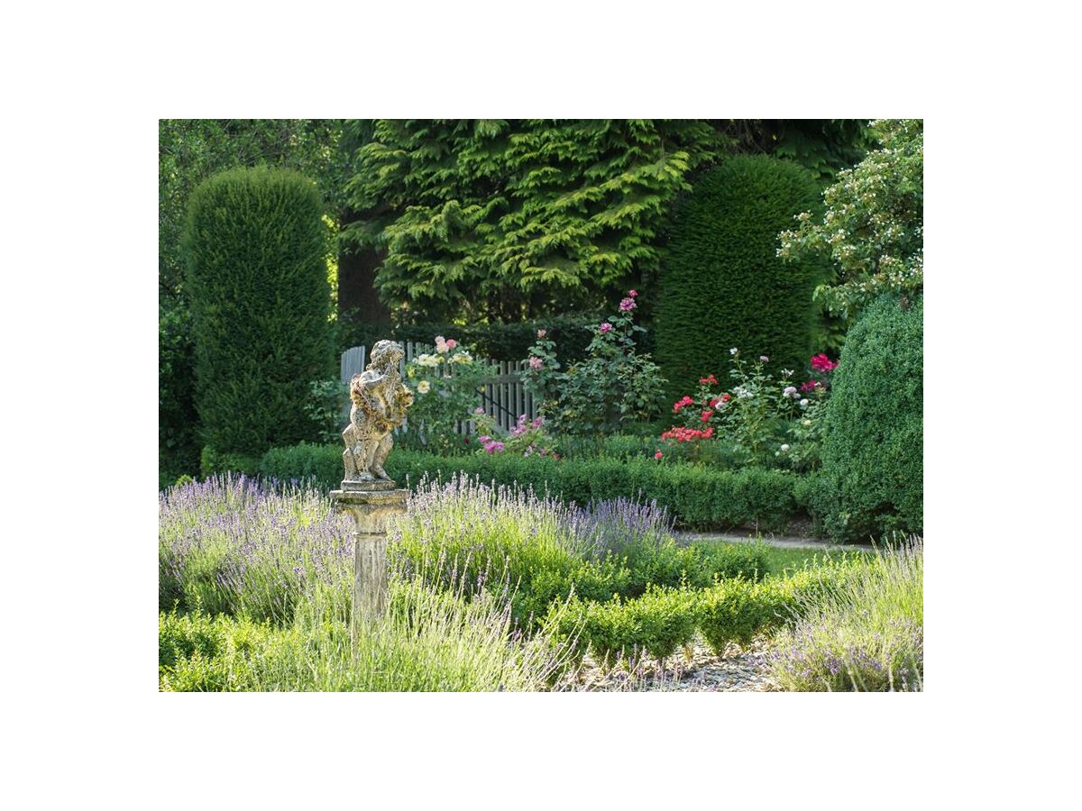 Holiday apartment Kutscherstube - Outdoor photo 5