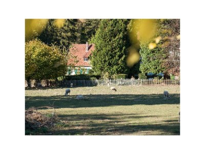 Holiday apartment Kutscherstube - Outdoor photo 3