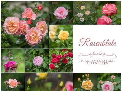 Holiday apartment Kutscherstube - Outdoor photo 9