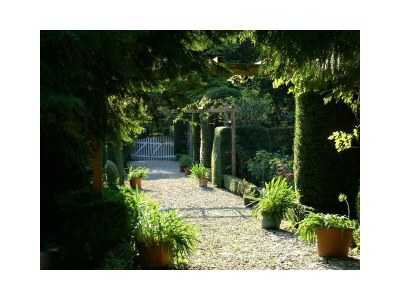 Holiday apartment Kutscherstube - Outdoor photo 12