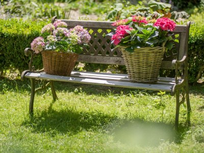 Holiday apartment Kutscherstube - Outdoor photo 14