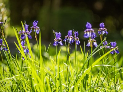 Holiday apartment Kutscherstube - Environment photo 25