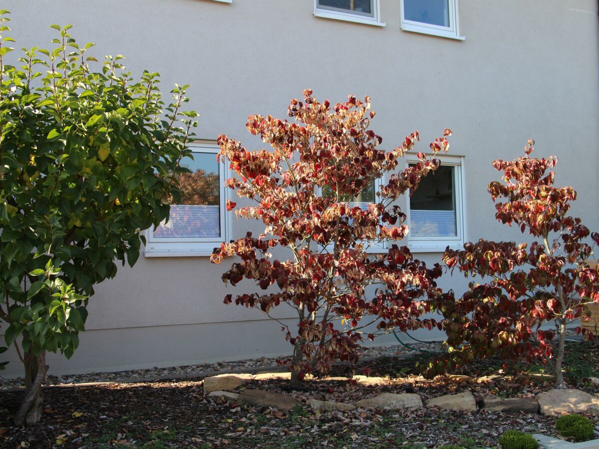 Apartment FEWO Palatina - Outdoor photo 2