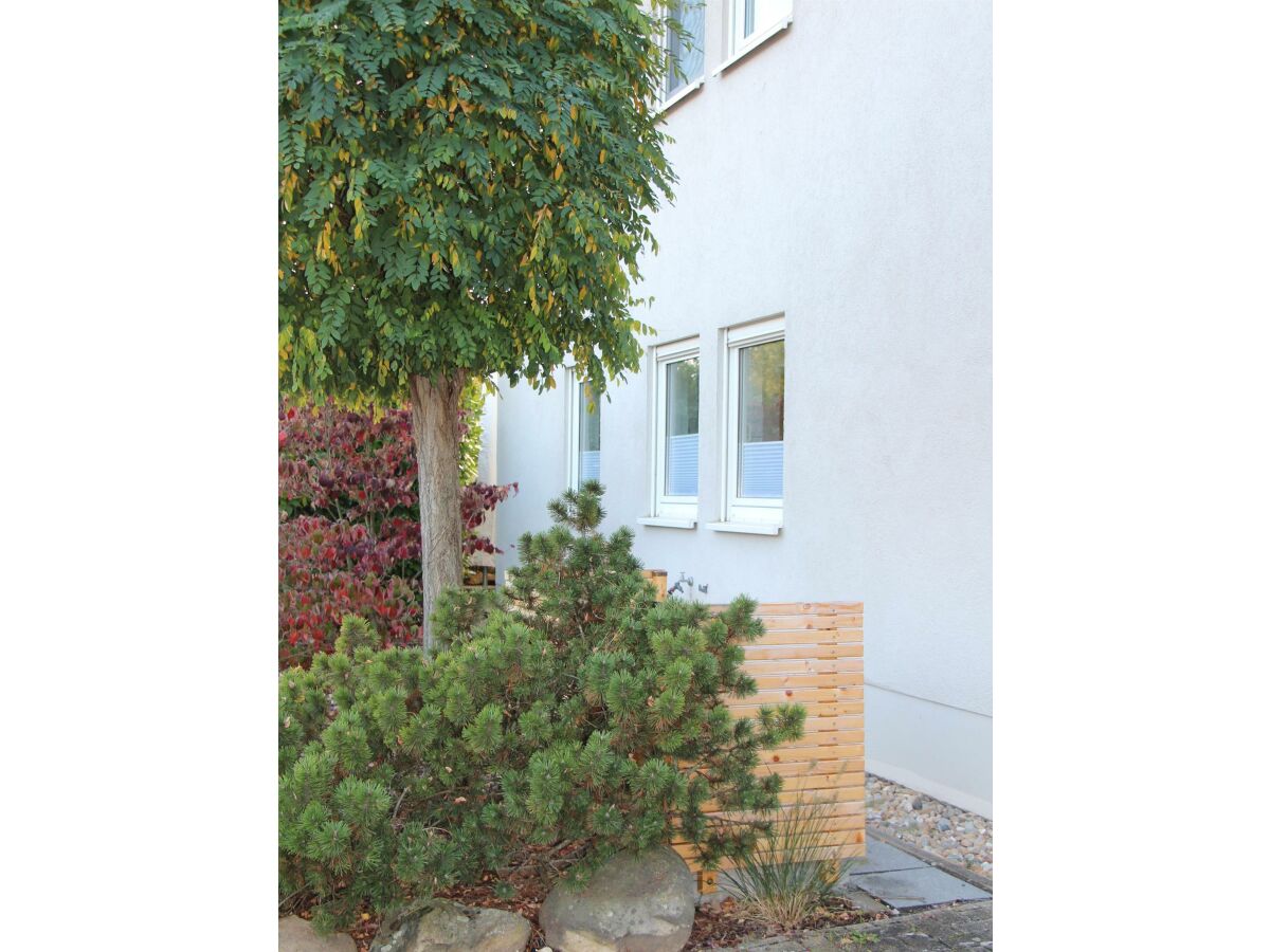 Apartment FEWO Palatina - Outdoor photo 3