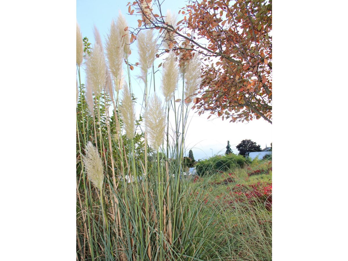 Apartment FEWO Palatina - Outdoor photo 4