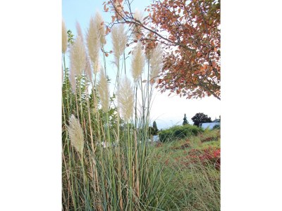 Apartment FEWO Palatina - Outdoor photo 4