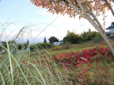 Apartment FEWO Palatina - Outdoor photo 6