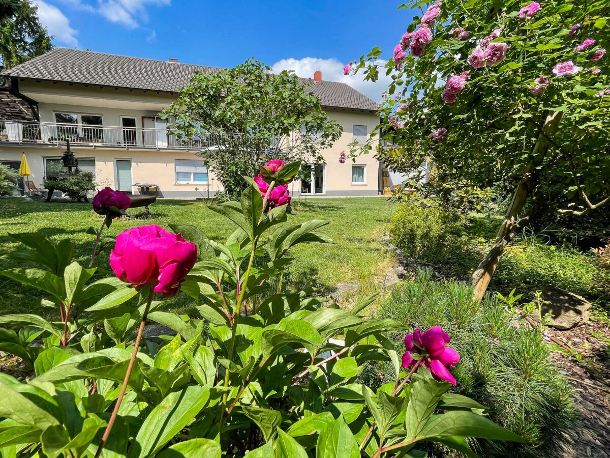 Apartment Die Wohlfühl-Fewo - Outdoor photo 4