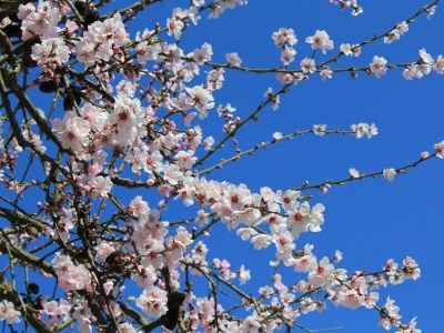 Apartment Die Wohlfühl-Fewo - Outdoor photo 5