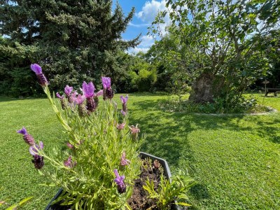 Apartment Die Wohlfühl-Fewo - Outdoor photo 16