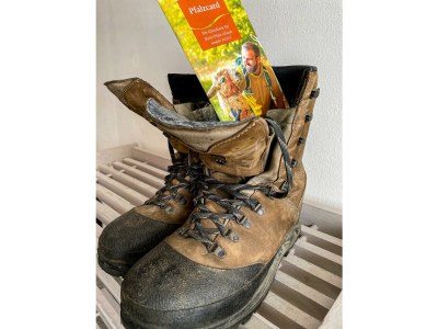 Apartment Die Wohlfühl-Fewo - Features photo 29