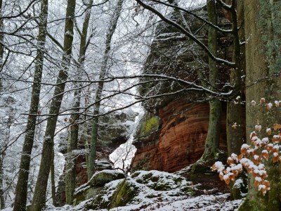 Apartment Appartement Persang - Outdoor photo 22