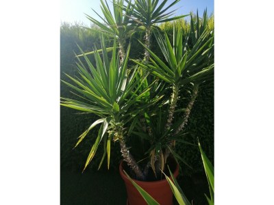 Apartment Appartement Persang - Outdoor photo 25