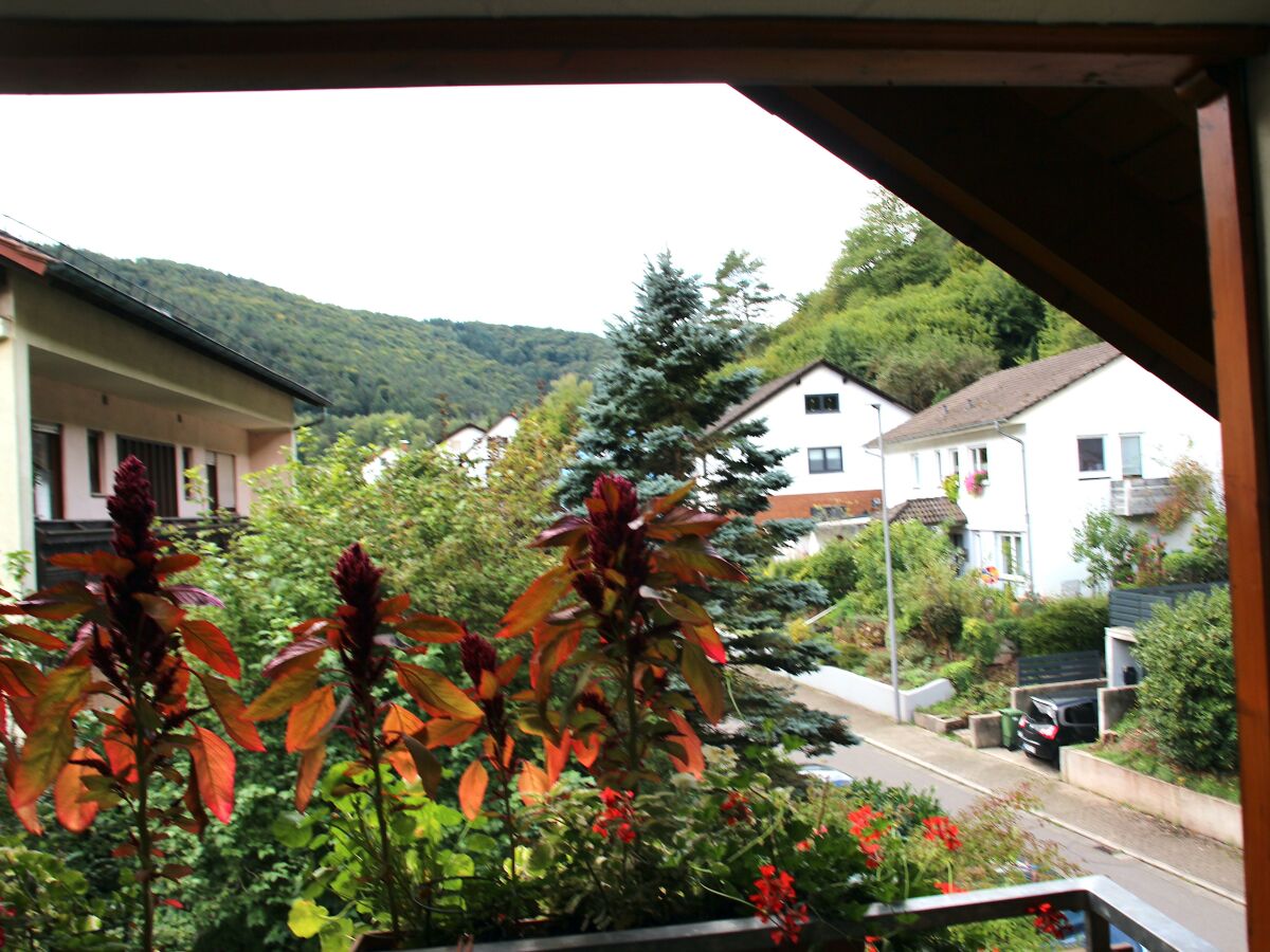 Apartment Ferienwohnung I mit Zugang zum Garten - Outdoor photo 2