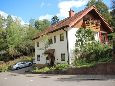 Apartment Ferienwohnung II (Dachgeschosswohnung) in Rinnthal - Apartment