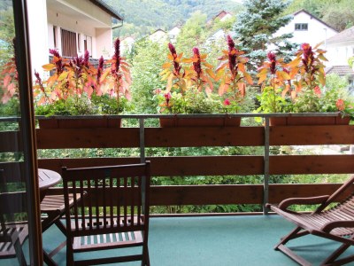 Apartment Ferienwohnung II (Dachgeschosswohnung) - Features photo 8