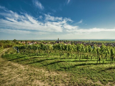 Apartment Ferienhaus, Bad, WC, 2 Schlafräume - Outdoor photo 8