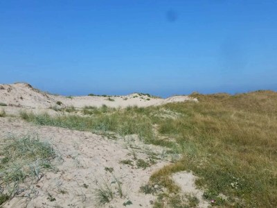 Holiday house 6 Personen Ferienhaus in Frederiksværk-By Traum - Outdoor photo 15