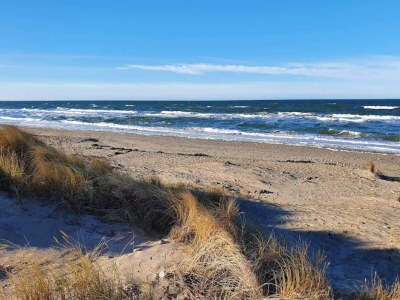 Holiday house 6 Personen Ferienhaus in Frederiksværk-By Traum - Outdoor photo 35