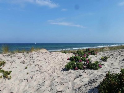 Holiday house 6 Personen Ferienhaus in Frederiksværk-By Traum - Outdoor photo 36