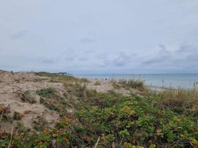Holiday house 6 Personen Ferienhaus in Frederiksværk-By Traum - Outdoor photo 38