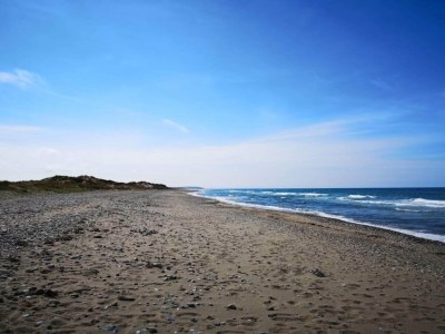 Holiday house 6 Personen Ferienhaus in Frederiksværk-By Traum - Outdoor photo 41