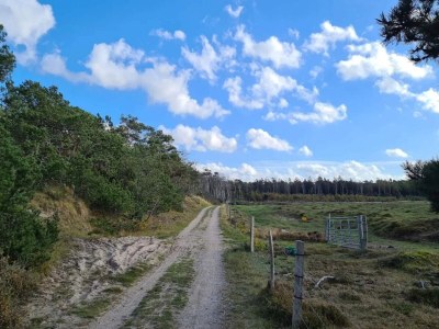 Holiday house 6 Personen Ferienhaus in Frederiksværk-By Traum - Outdoor photo 43