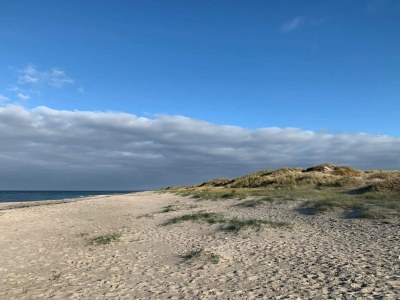 Holiday house 6 Personen Ferienhaus in Frederiksværk-By Traum - Outdoor photo 46