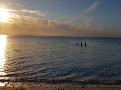 Holiday house 6 Personen Ferienhaus in Frederiksværk-By Traum - Outdoor photo 48