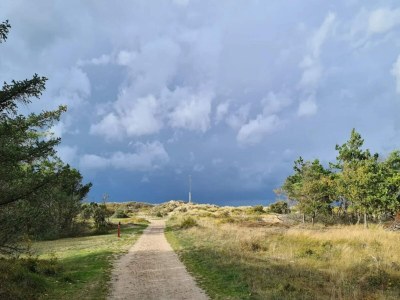 Holiday house 6 Personen Ferienhaus in Frederiksværk-By Traum - Outdoor photo 54