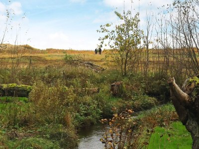 Holiday house 4 person holiday home in Hals-By Traum - Outdoor photo 37