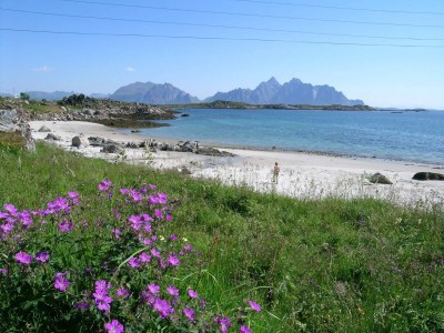 Holiday house 7 Personen Ferienhaus in Bøstad-By Traum - Outdoor photo 9