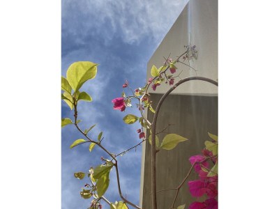 Villa Luma - Environment photo 36