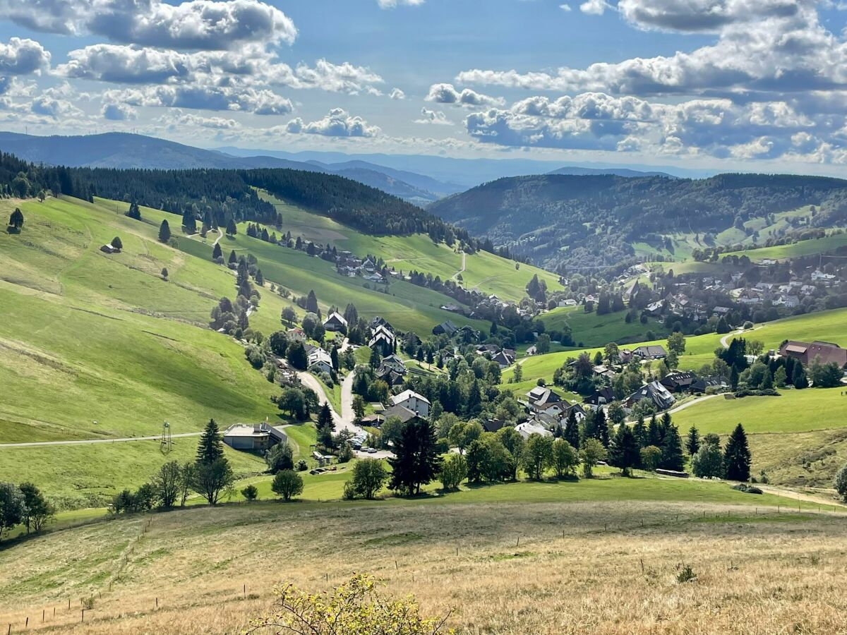 Holiday apartment Stübenbächle - Outdoor photo 2