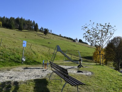 Holiday apartment Stübenbächle - Outdoor photo 12