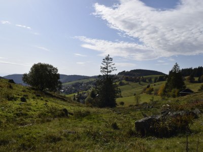 Holiday apartment Stübenbächle - Outdoor photo 16