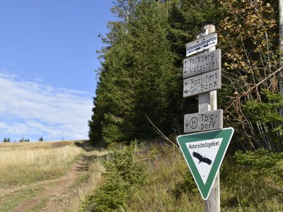 Holiday apartment Stübenbächle - Outdoor photo 19