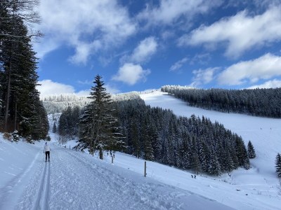 Holiday apartment Stübenbächle - Features photo 21