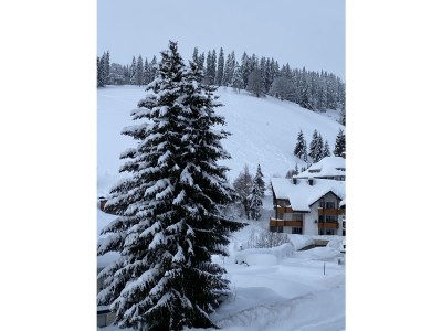 Holiday apartment Stübenbächle - Features photo 24