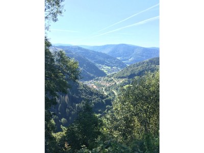 Holiday apartment Stübenbächle - Environment photo 28