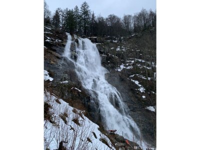 Holiday apartment Stübenbächle - Environment photo 30