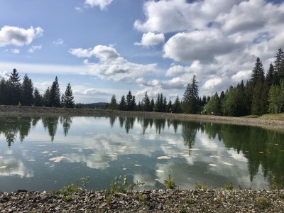 Holiday apartment Stübenbächle - Environment photo 31