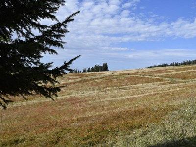 Holiday apartment Stübenbächle - Environment photo 32