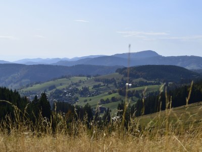 Holiday apartment Stübenbächle - Environment photo 34