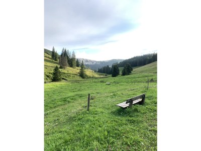 Holiday apartment Stübenbächle - Environment photo 38