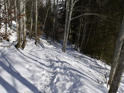 Holiday apartment Stübenbächle - Environment photo 41