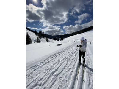 Holiday apartment Stübenbächle - Environment photo 42