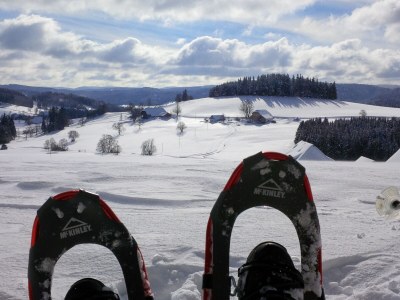 Holiday apartment Stübenbächle - Environment photo 43