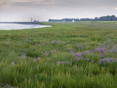 Holiday house Emi - Environment photo 21