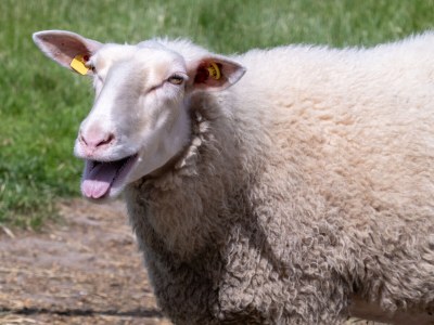 Holiday house Emi - Environment photo 23